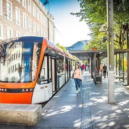 Brand New * Bergen